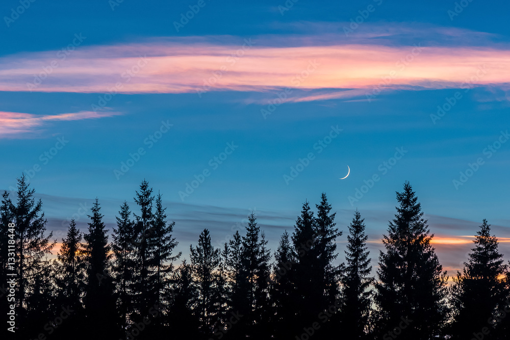 Shining clouds and crescent moon in evening landscape