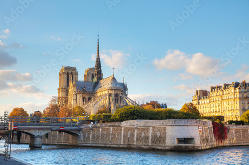 Obraz na płótnie Notre Dame de Paris cathedral w salonie