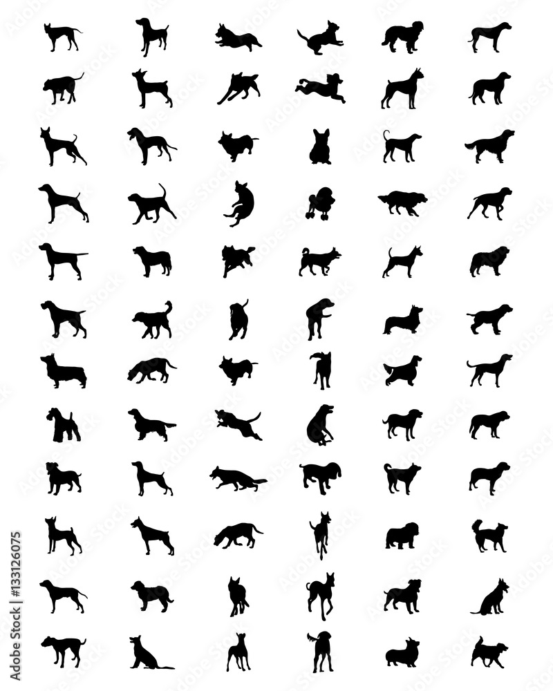Naklejka premium Black silhouettes of dogs on a white background, vector