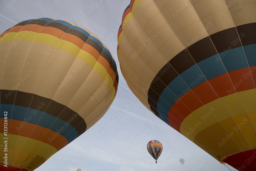 Obraz premium ascension of hot air balloons festival