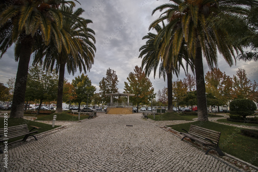 Fototapeta premium Piękny park miejski