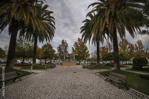 Beautiful urban park