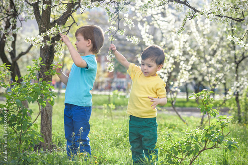 Happy little brothers kids in spring garden with blooming trees