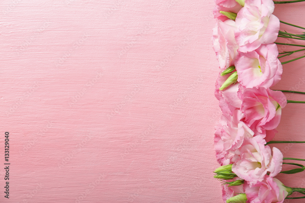 Fresh flowers frame on pink background Fresh flowers frame on pink background