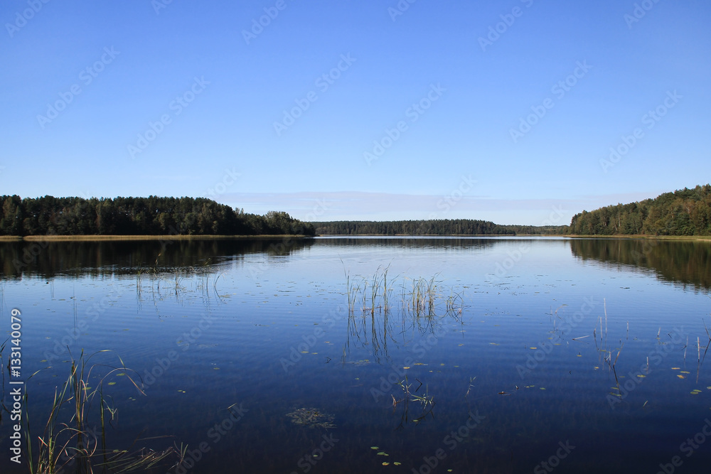 View of the lake in the sunny day