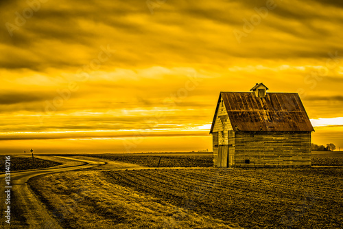 Golden Sunrise on the Farm