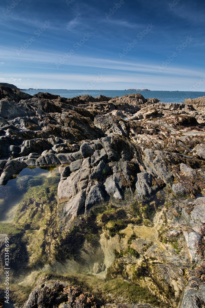 Obraz premium The rocky beach with the green algaes in Saint-Malo, France