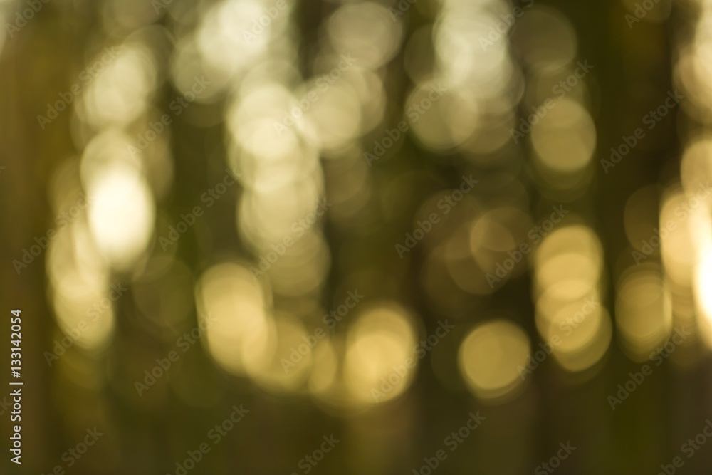 Obraz premium Winter forest bokeh background