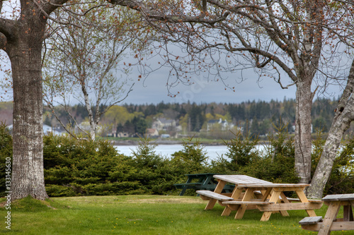 New England Picnic