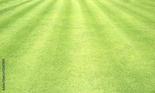 Grass field / Green grass background © scenery1