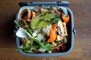 Container of domestic food waste, ready to be collected by the r