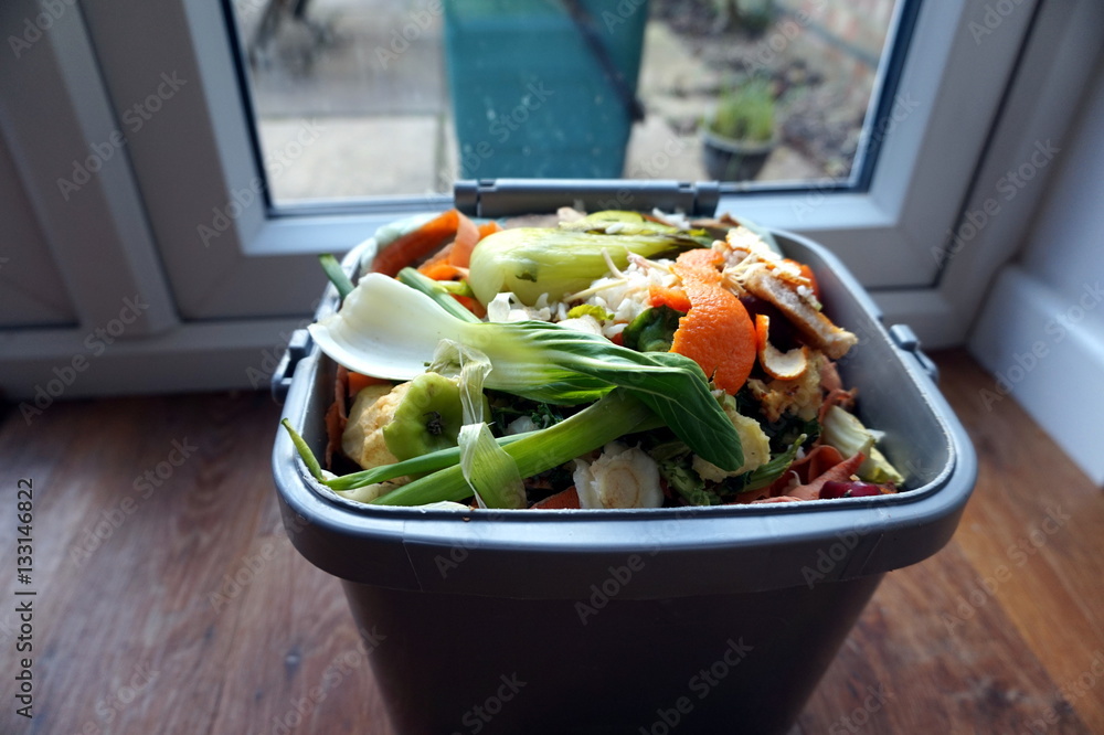 Indoor container of domestic food waste, ready to be tipped into - obrazy, fototapety, plakaty 