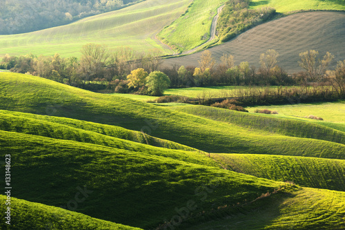 Pastoral green field with long shadows in Tuscany, Italy