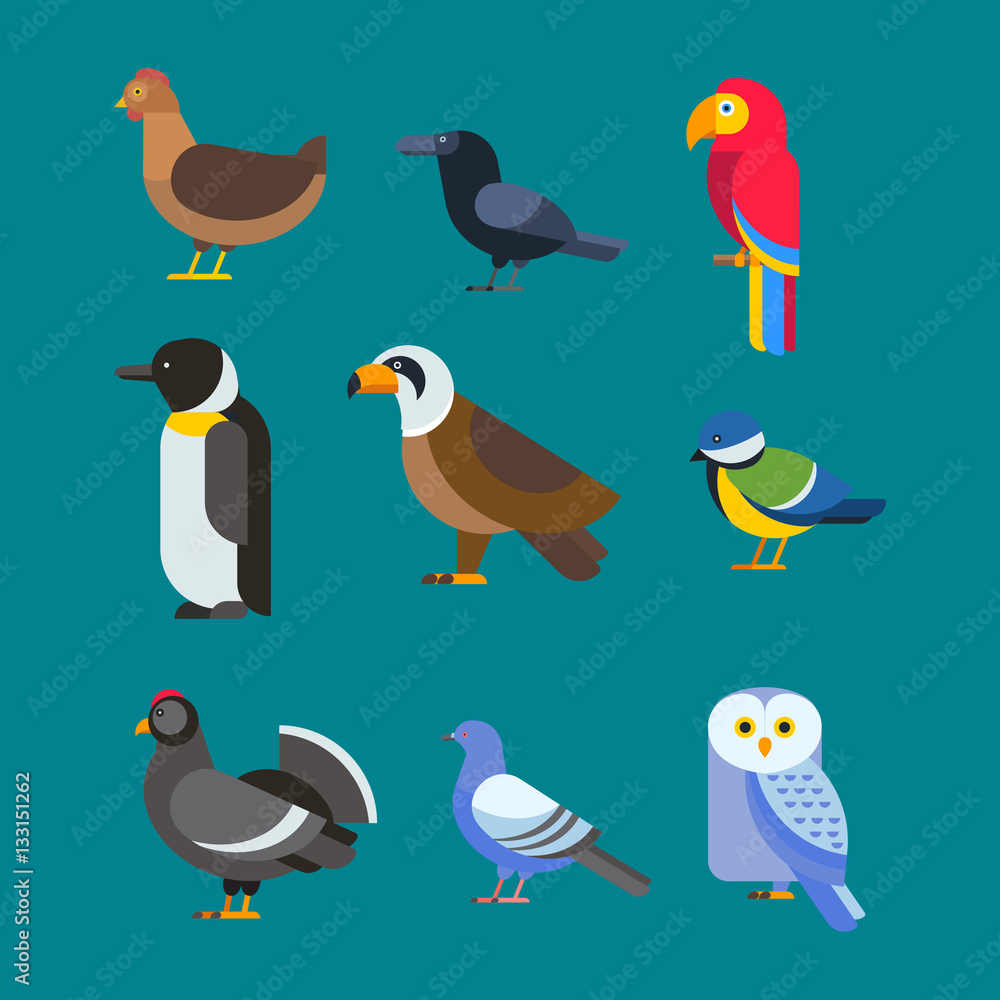 Birds vector set illustration isolated