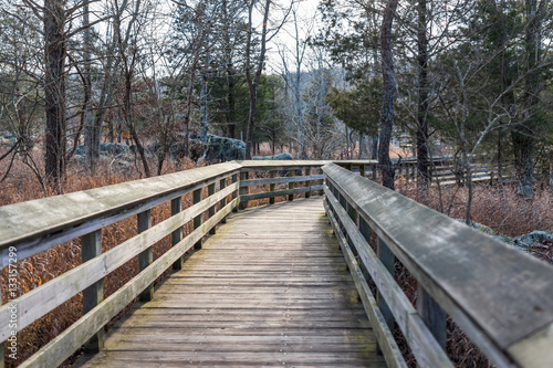 Wooden boardwalk in park during winter