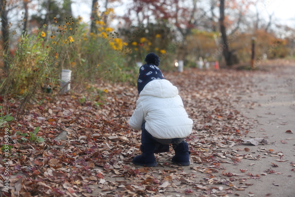 Fototapeta premium The child who picks a fallen leaf up