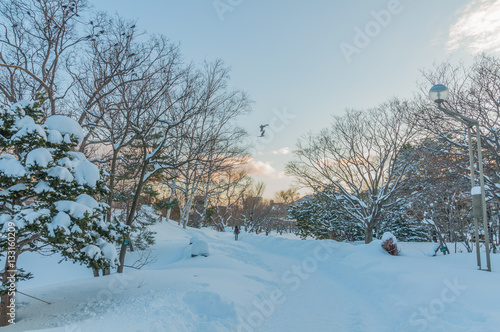 Sapporo in winter season