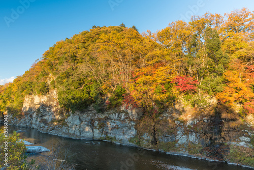 Autumn color in Japan