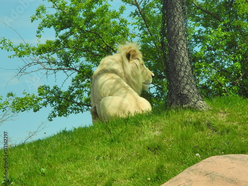 Zoo Animals, Toronto, Ontario, Canada