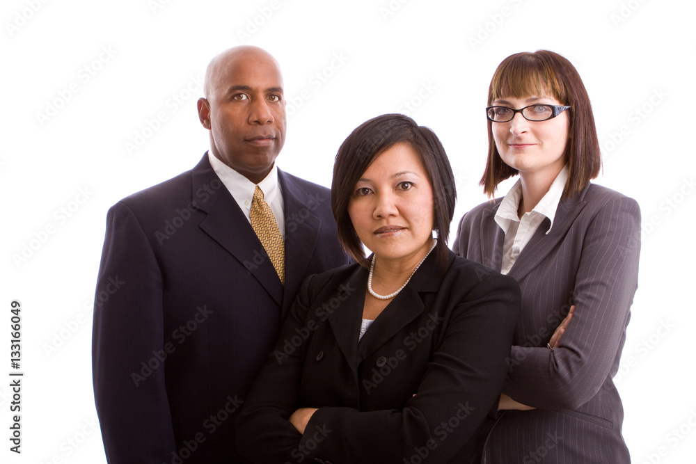 Diverse group of business people isolated on white. Diverse group of business people isolated on white.