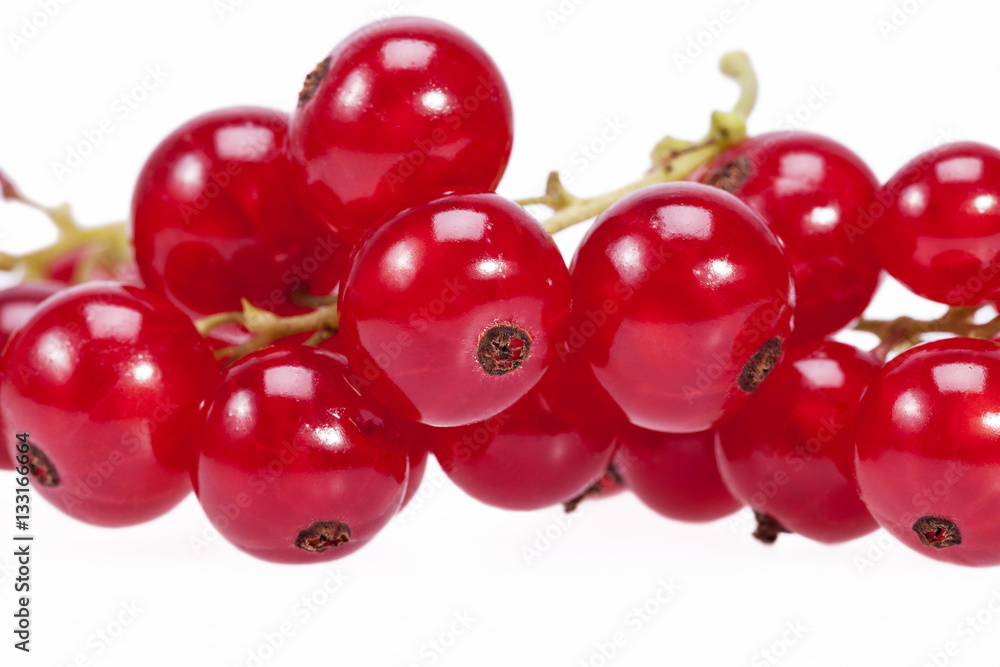 Fruits of redcurrant on a twig in white background