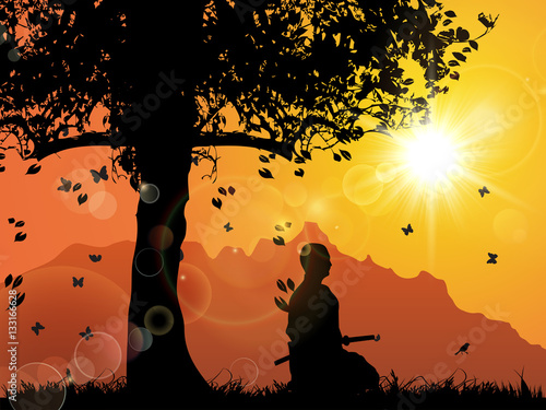 A Samurai Under sunset, meditation 