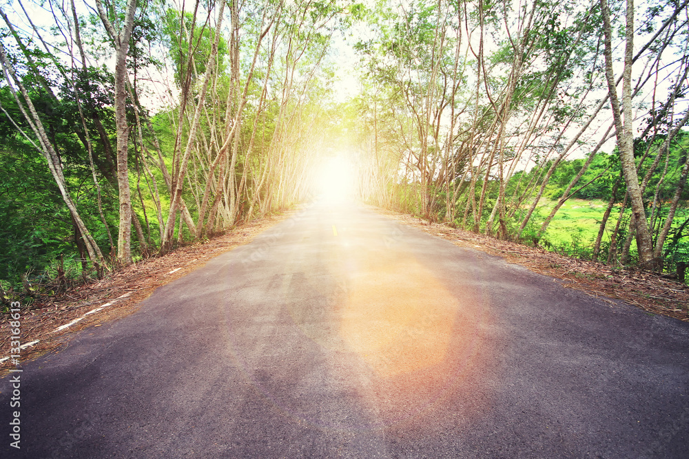Country asphalt road with tree and sunset flare. Vintage filtere Country asphalt road with tree and sunset flare. Vintage filtere