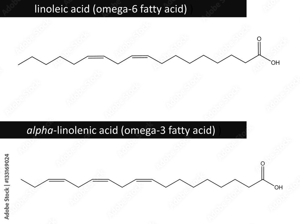 Molecular structure of linoleic and alphalinolenic acid Stock Illustration Adobe Stock