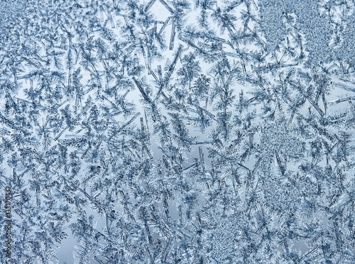 beautiful frosty pattern made of transparent swirls and crystals