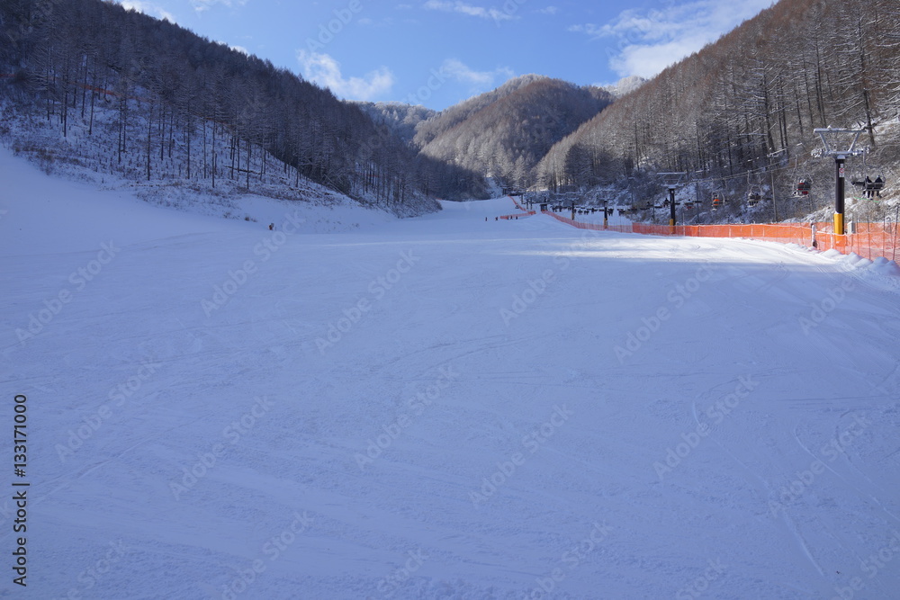 Fototapeta premium スキー場 ゲレンデ 冬 雪 ウインタースポーツ