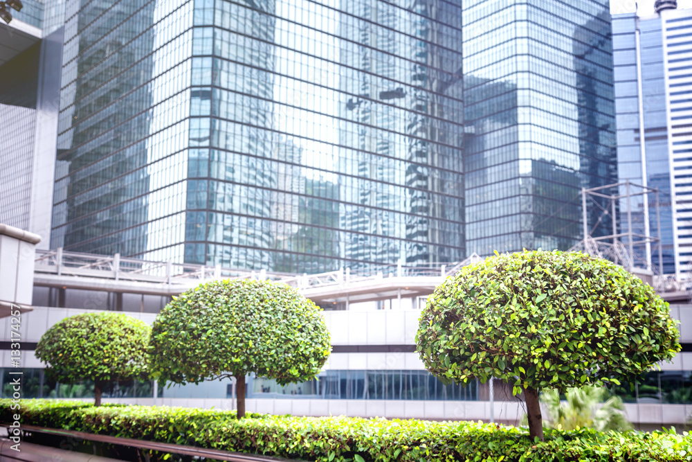green trees in the background of modern skyscrapers. Ecology in