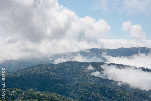 fog and cloud on mountain at Kew Mae Pan ,Doi Inthanon National Park, Thailand.