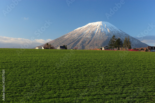 秋の羊蹄山麓