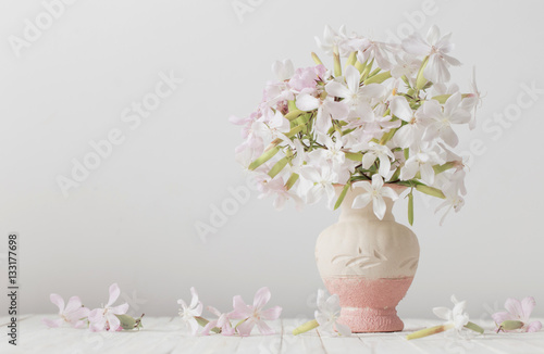 flowers in vase on white background