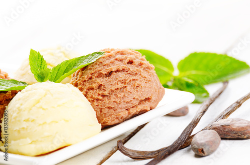 Cocoa and vanilla ice cream scoop