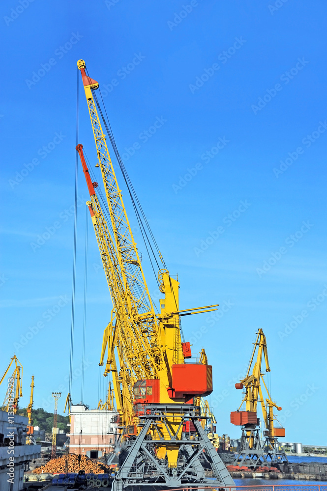 Port cargo crane