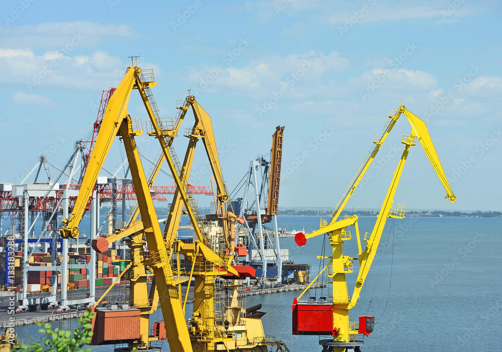 Port cargo crane