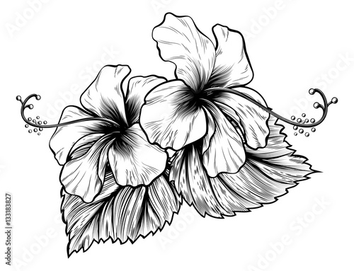 Hibiscus Flowers Vintage Style Woodcut Engraved Etching