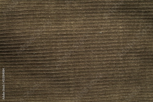 Corduroy background in close up