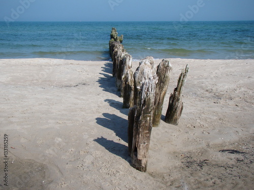 posts on the beach