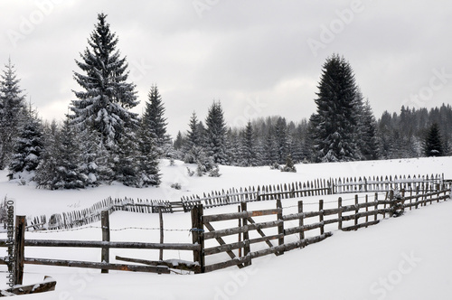 winter landscape with wooden fence