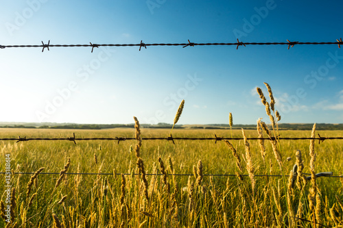 Dry prairie grass with barbed wire in the foreground. Image taken in South Australia, near Wilsons Promontory.