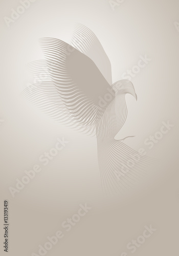 Magic dove made with lines on misty background. Vector illustration