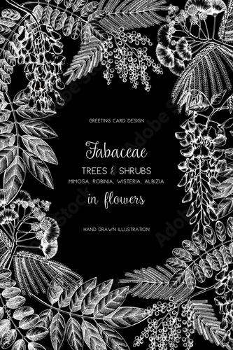 Vintage trees and shrubs in flowers illustration. Valentine's Day or Wedding design template. Vector greeting card with hand drawn wisteria, black locust, silver wattle, albizia sketch.