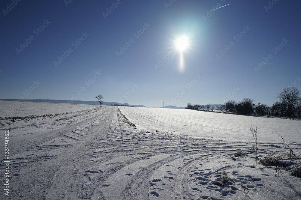 Sunny winter landscape view with blue sky