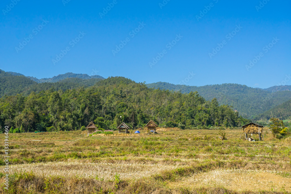 Wood hut in rice field countryside in Pai, Thailand