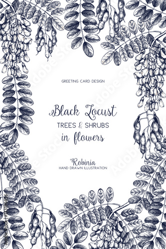 Vector card or invitation design with hand drawn Robinia flowers. Vintage frame with Black Locust sketch. Floral wedding template. Save the Date.