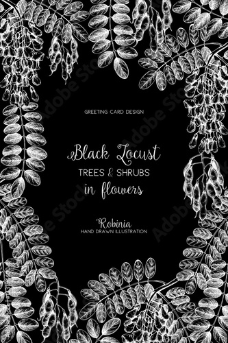 Vector card or invitation design with hand drawn Robinia flowers. Vintage frame with Black Locust sketch. Floral wedding template. Save the Date.