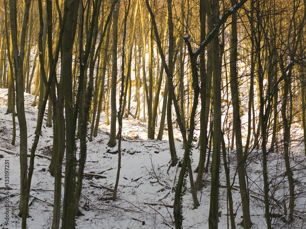 schnee und eis und winterliche texturen und hintergründe schnee und eis und winterliche texturen und hintergründe