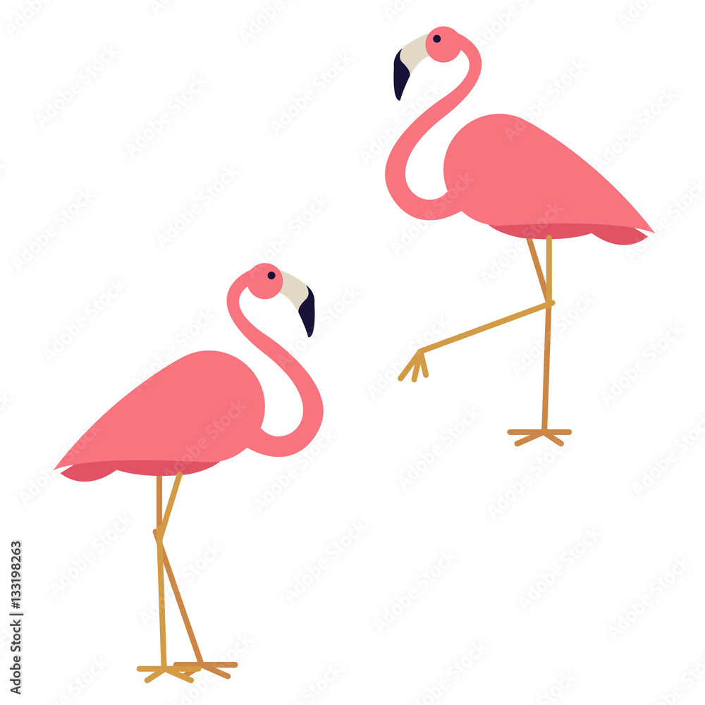 Obraz premium couple of vector pink flamingo